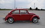 1965 Beetle Thumbnail 22