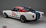 1966 GT350 Thumbnail 5