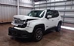 2016 RENEGADE Thumbnail 4