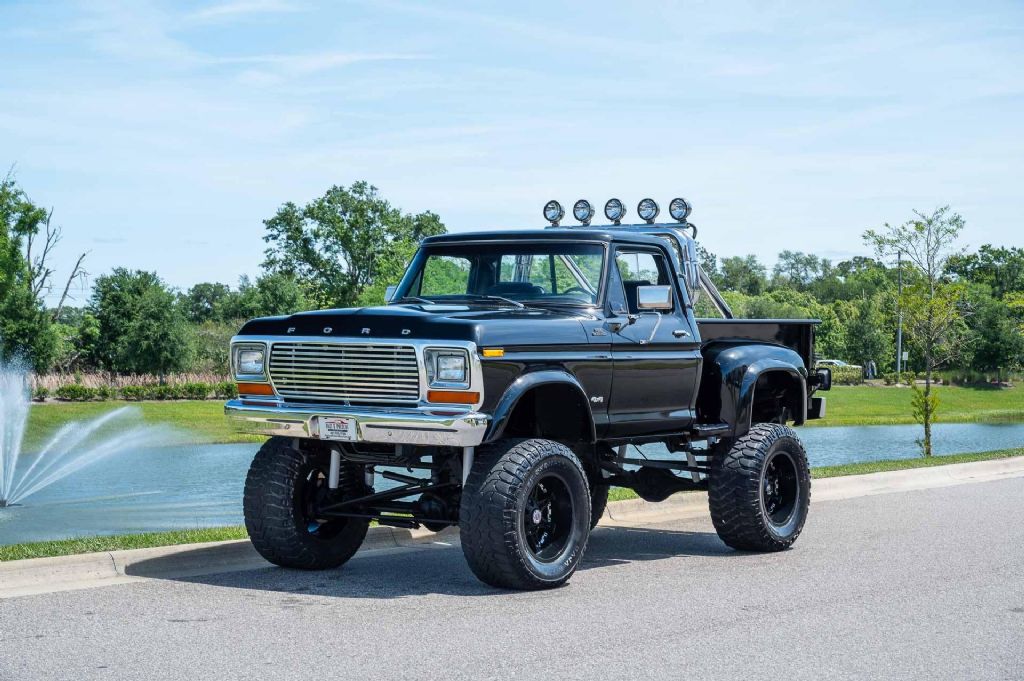 1979 F150 Image