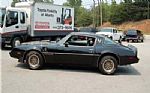 1979 Trans AM Bandit Thumbnail 89