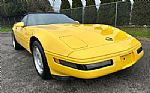 1992 Corvette Thumbnail 5