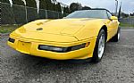1992 Corvette Thumbnail 15